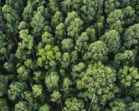 Expansion französischer Unternehmen